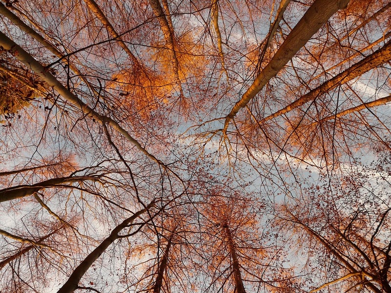 360-Degree